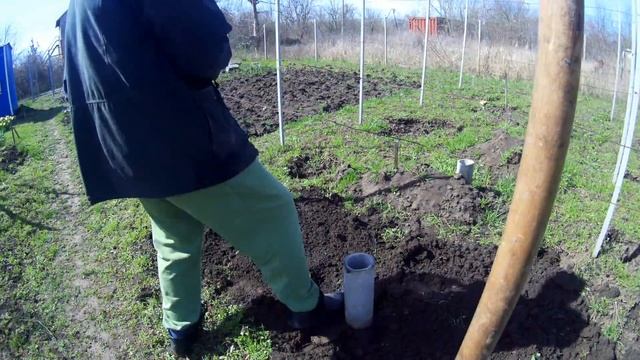 Открываем виноград после зимы смотреть онлайн