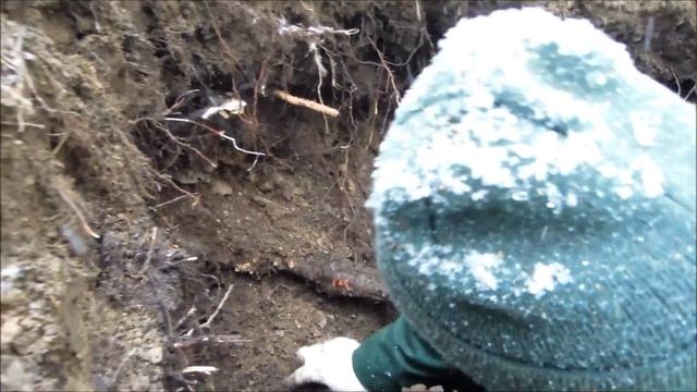 ametists under snow 10,10,2013-АМЕТИСТЫ ПОД СНЕГОМ смотреть онлайн