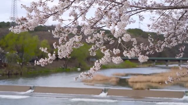 12 сентября - День обновления. Строгие запреты этого дня | Лунный Календарь смотреть онлайн