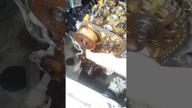 Vitz Timing смотреть онлайн