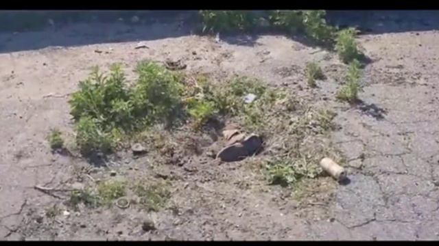 Всушник нашел потеряшку своего товарища смотреть онлайн