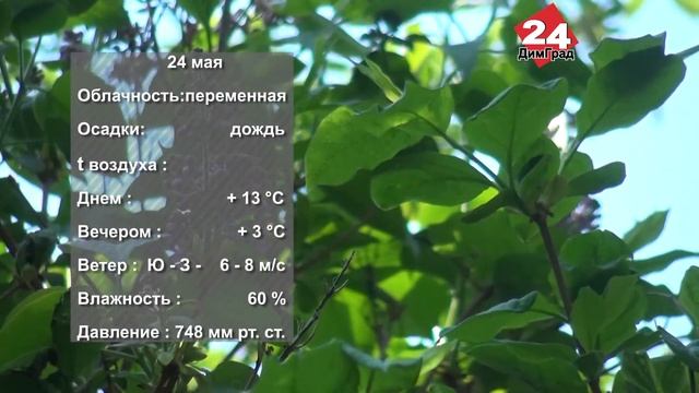 ПОГОДА НА ЗАВТРА. 23.05.2022