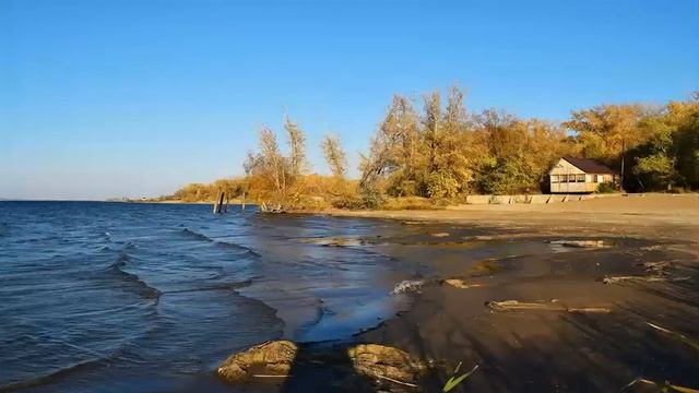 Елена Паршина - Иволга смотреть онлайн