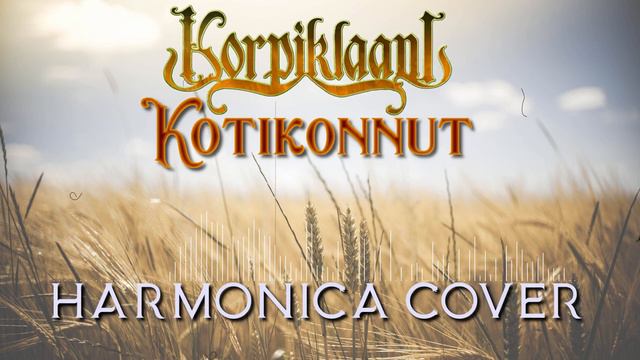 Kotikonnut (Korpiklaani) Harmonica cover смотреть онлайн