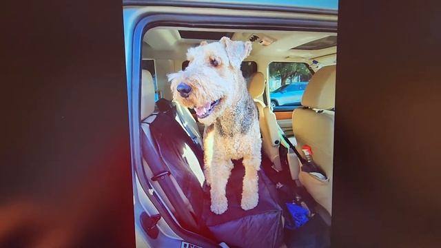 LGK 15 6 Inch FHD 1080P USB C Laptop Monitor Review, Color quality is just OK, has a weird 12v powe смотреть онлайн