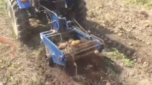 Урожай 2019 с модернизированной картофелекопалкой для Скаут Т-18