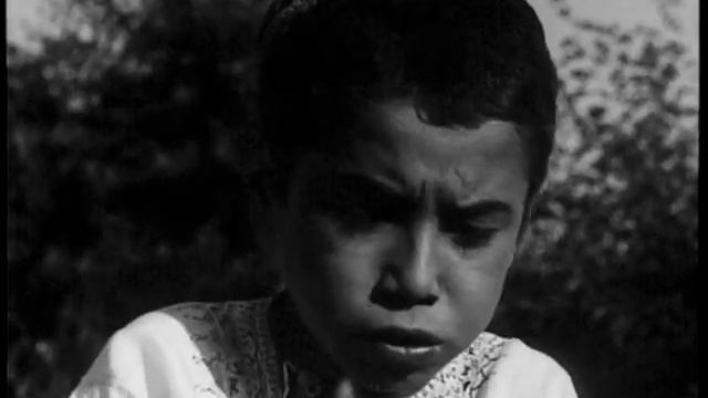 Тихая невестка