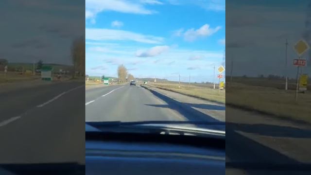 Когда работа в радость... ждём прибавление в хозяйстве. смотреть онлайн