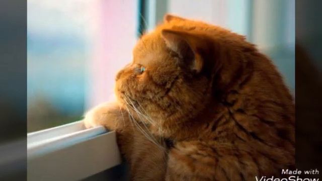 Не грустите всё будет супер:-) :-) :-) :-) :-) :-) ♥♥♥♥ смотреть онлайн