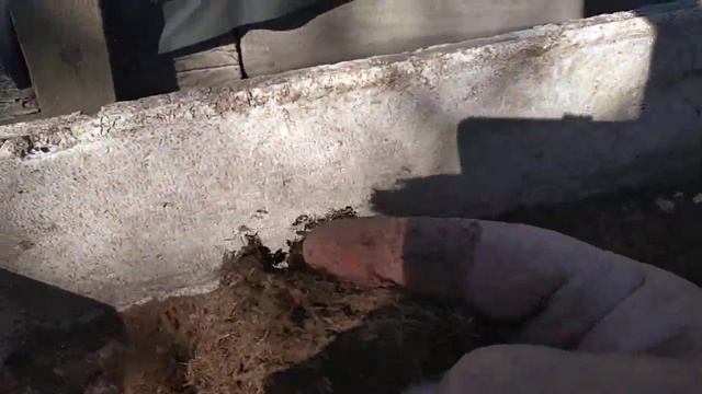 Применяю измельчитель для уменьшения фракции торфа