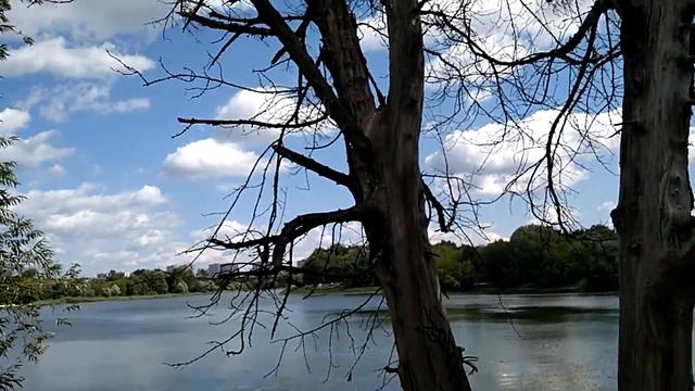 Измайлово.Москва.Парк.Озеро. смотреть онлайн