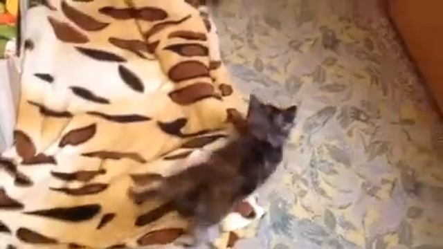 Час ночи, самое время поиграть смотреть онлайн