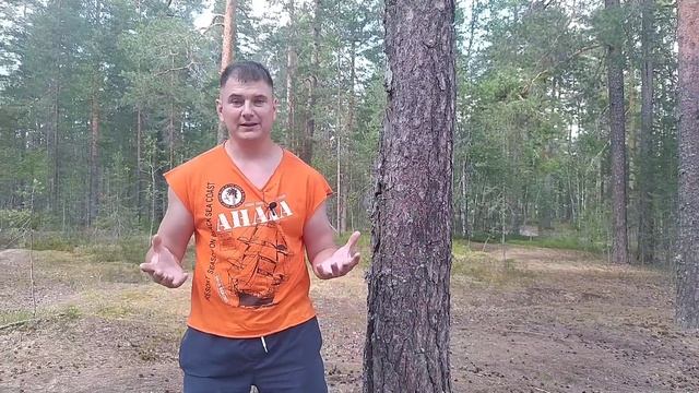 КАТА САНЧИН В БОЮ, ЭЛВИС ПРЕСЛИ И КАТА! КАК ДЕЛАЛИ КАТА РАНЬШЕ? ПЛАНКА ИЛИ САНЧИН? смотреть онлайн