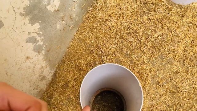 Sw Pet house waly mamo or waleed bhai ka zoo visit kia?mamo ny current lga dia смотреть онлайн