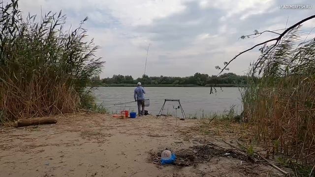 Ловля сазана на фидер на Дону смотреть онлайн