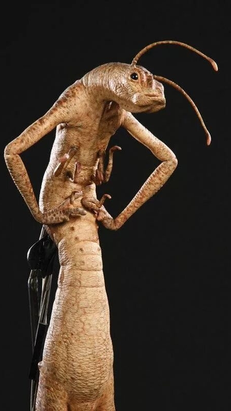 Что за штука была в фильме Люди в черном в виде кулона?.mp4 смотреть онлайн