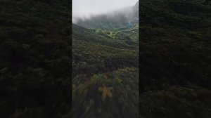 Реюньон, Франция.