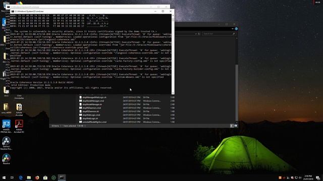 Install Oracle Forms and Reports 12c смотреть онлайн