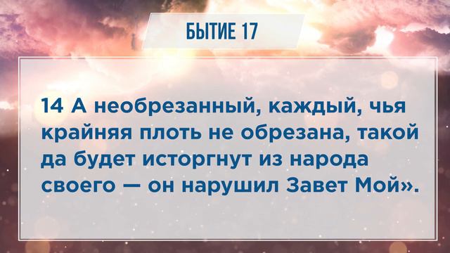 БЫТИЕ глава 17 | Чтение Библии | Библия в современном переводе смотреть онлайн