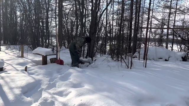 Назад в Тайгу (Отшельник 127 серия) смотреть онлайн