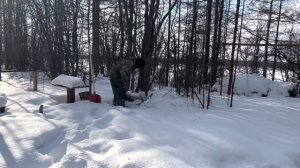 Назад в Тайгу (Отшельник 127 серия)