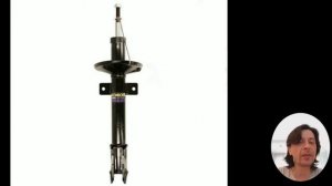 Амортизаторы на внедорожник Рено Дастер 4х4 - какие надо купить?