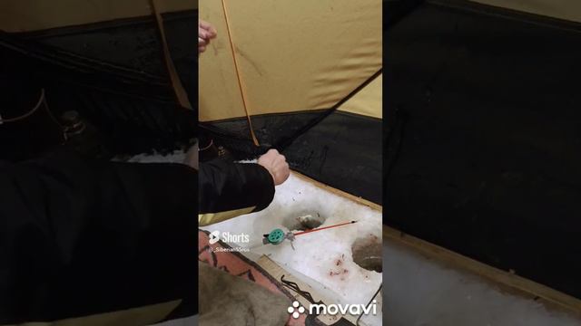 зимняя рыбалка озеро салтаим