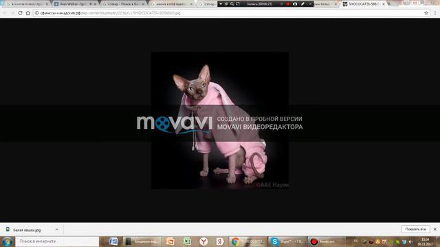 Видео про сфинксов смотреть онлайн