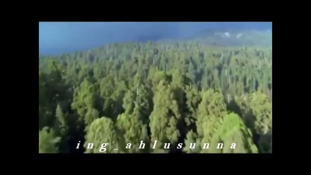 Зелавди Благая жизнь смотреть онлайн