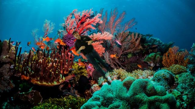 Climate Lecture Module 12 GWP2 Full смотреть онлайн