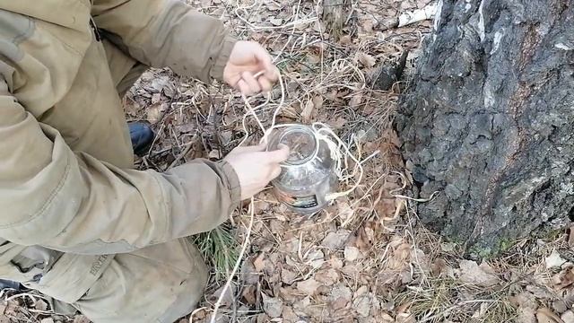 Дедовский способ добычи берёзового сока. Самый простой и самый щадящий. смотреть онлайн
