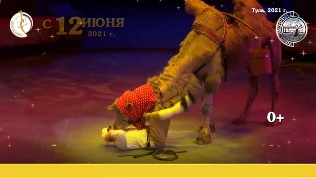 Цирк зажигает огни  яркое летнее шоу с 12 июня 2021 в Тульском цирке!