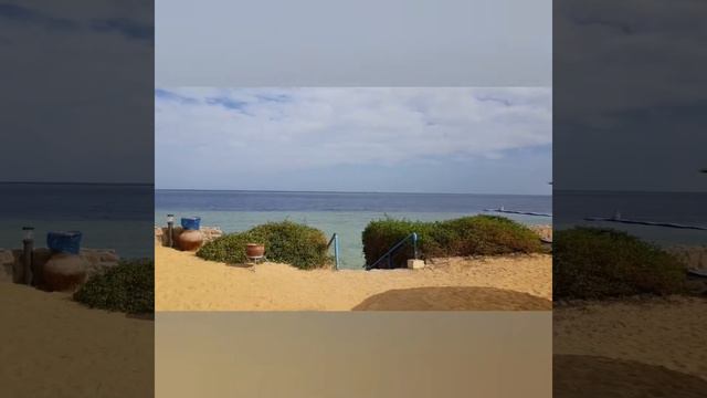 Подробный обзор отеля Queen Sharm Resort 4* в Sharm el Sheikh в Египте. Бюджетный отдых в Египте. смотреть онлайн