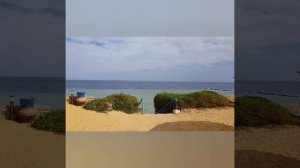 Подробный обзор отеля Queen Sharm Resort 4* в Sharm el Sheikh в Египте. Бюджетный отдых в Египте.