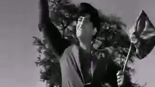 На горе стоит верблюд (частушки) гр.Ахас (18+).mp4 смотреть онлайн