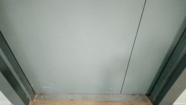 ЛИФТЫ ЩЛЗ 00-Х ГГ (ЩЕРБИНКА, ПУШКИНСКАЯ 25) смотреть онлайн