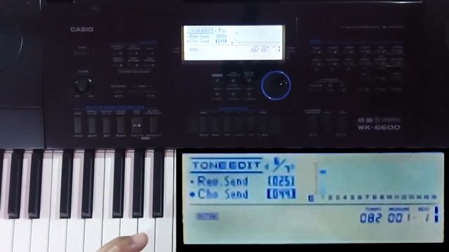 Piano con Pad configurar tono de usuario en WK 6600 formato TN7 смотреть онлайн
