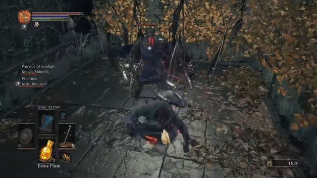 DARK SOULs new challenge run my char max lvl16 +2 смотреть онлайн