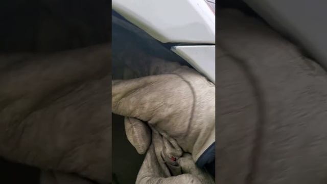 How To Change Headlight Bulbs On A 2010 2011 2012 2013 Infiniti G37 sedan смотреть онлайн