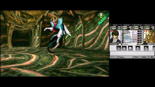 Shin Megami Tensei IV [Citra] {Part 48} Exploring Roppongi Region & Cameron Building