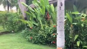 VLOG/ВЛОГ МЫ ВО ВЬЕТНАМЕ, ОТЕЛЬ TERRACOTTA ФАНТЬЕТ (МУЙНЕ)