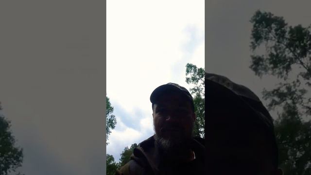 Водопад Корбу. Телецкое озеро. Республика Алтай. смотреть онлайн