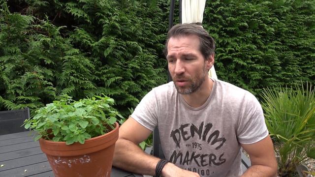 Oregano richtig gießen und düngen So oft und so viel muss Oregano gegossen und gedüngt werden смотреть онлайн