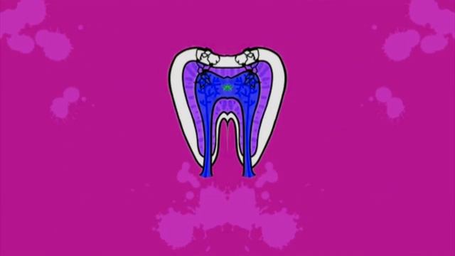 Профессор почемушкин Почему от сладкого зубы портятся g Major 100