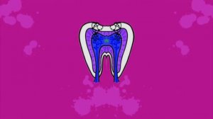 Профессор почемушкин Почему от сладкого зубы портятся g Major 100