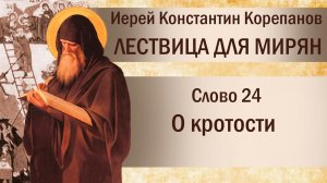 Слово 24. О кротости. Иерей Константин Корепанов.