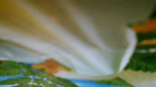 Сирень(А ветки до земли сплетают снова тень.Не для тебя я рвал цветы, кудрявую сирень)наброски) смотреть онлайн