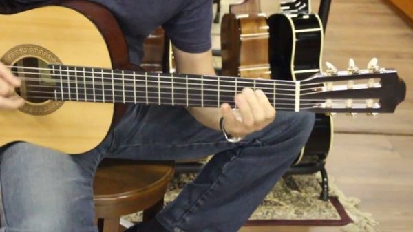 Потрясающая великолепная классика Hohner HC-06