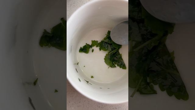 Вкусный чай с Мелиссой и Малиной. Травяной чай в квартирных условиях ? Мелиссе 1 месяц от посева. смотреть онлайн