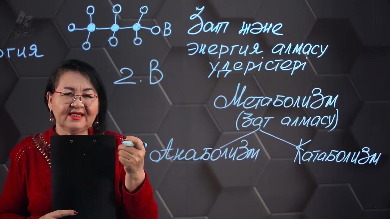 Биология - ҰБТ. 5 нұсқасы: № 21-25. смотреть онлайн